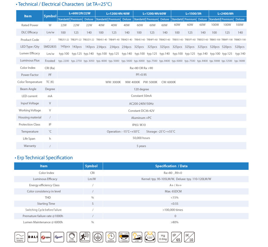 B גרסה תלת הוכחה אור האיחוד האירופי
